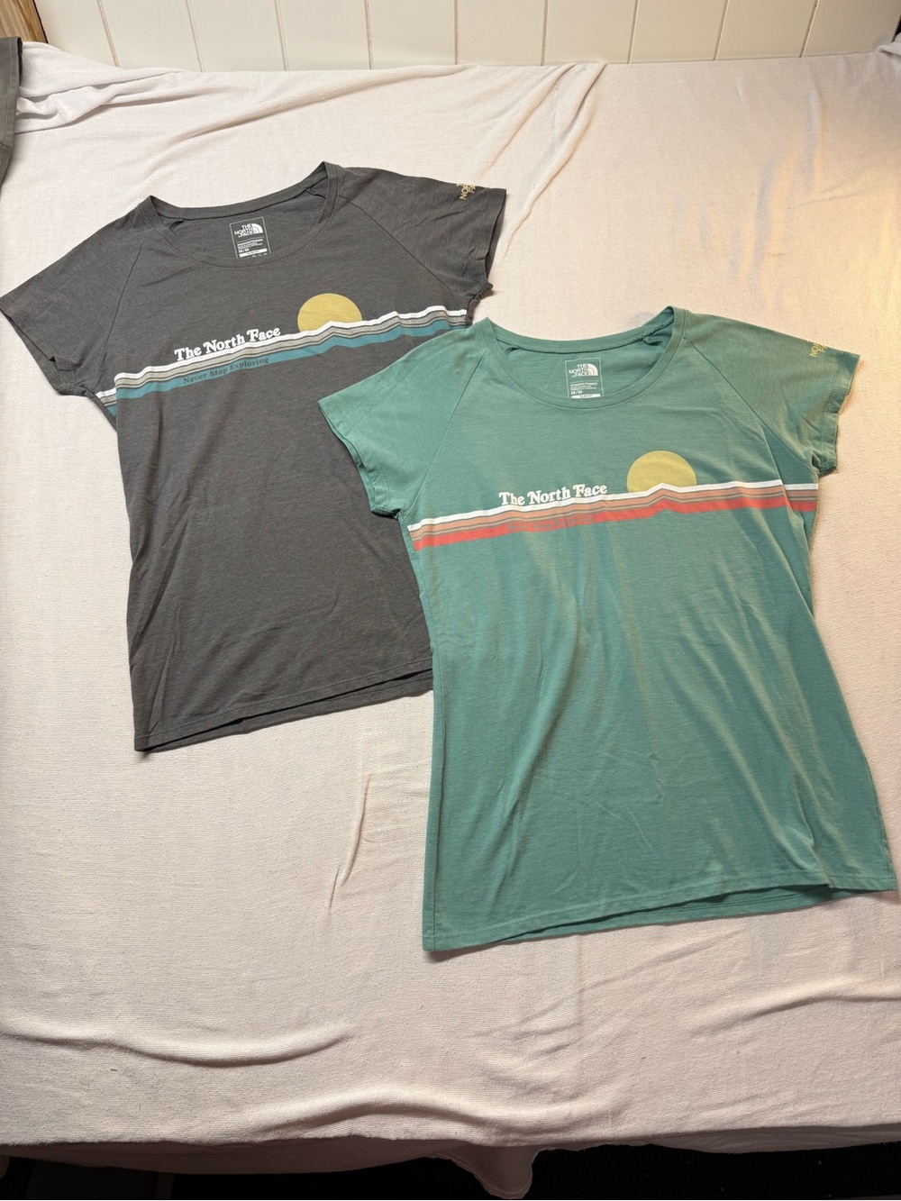 The North Face Womens Graphic Tee - Teal & Charcoal Set Of 2
